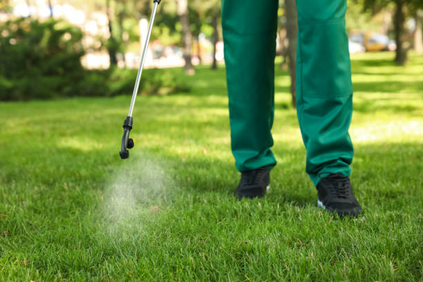 Lawn Pest Control in Gardnerville Ranchos, NV